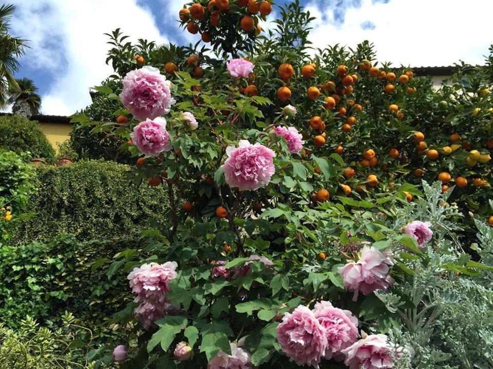 Residenza Buggiano Antica B&B - Charme Apartment In Tuscany ボルゴ・ア・ブッジャーノ エクステリア 写真